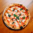 PIZZA MARGHERITA